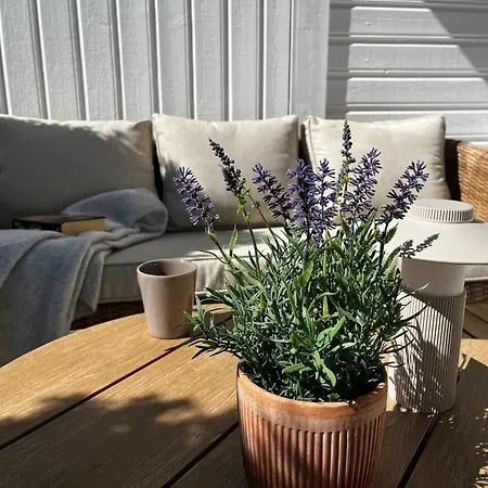 Modern Seaside At In Grimstad